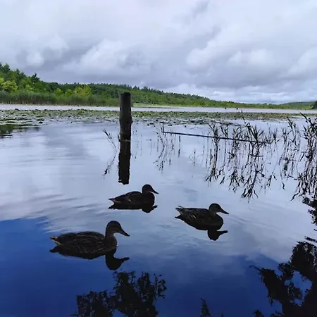 度假居 Im Mirow *